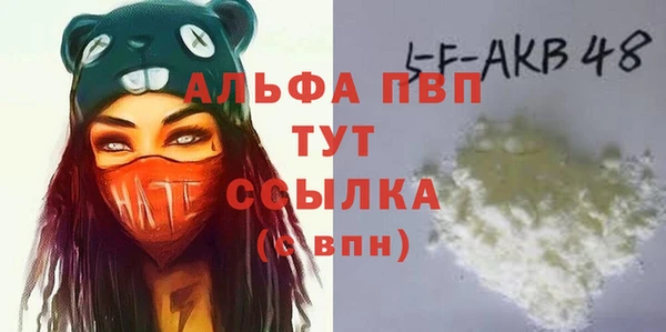 стафф Вязьма